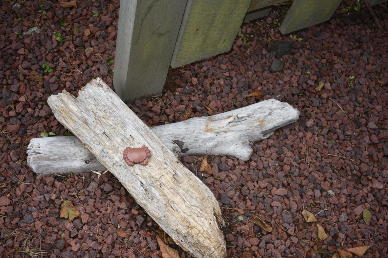 Lighthouse Cove Inn Bandon Exterior foto A piece of driftwood