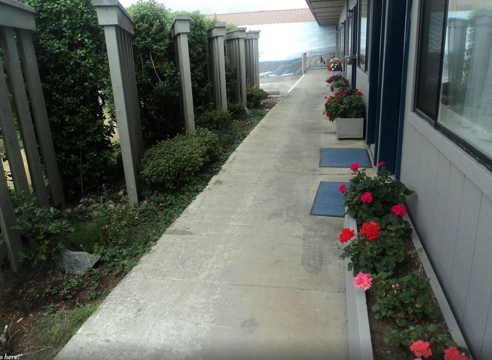 Lighthouse Cove Inn Bandon Exterior foto A view of the side of the hotel